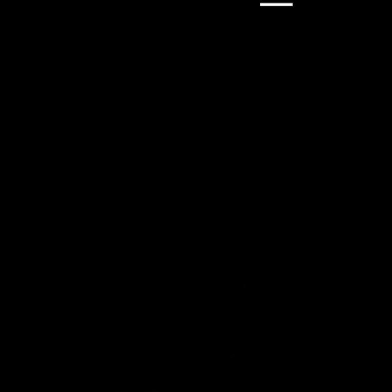 九言