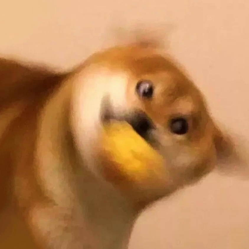 欧豆豆