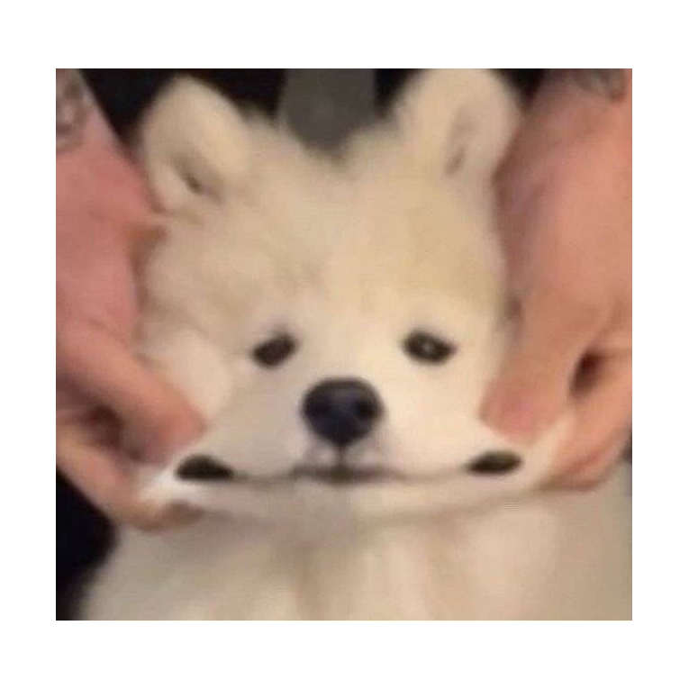 许南南