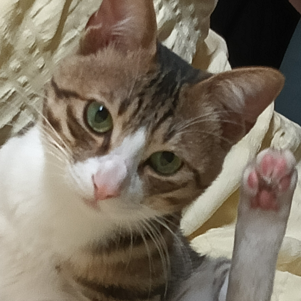 救救我