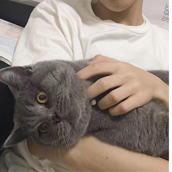 白月亮之上