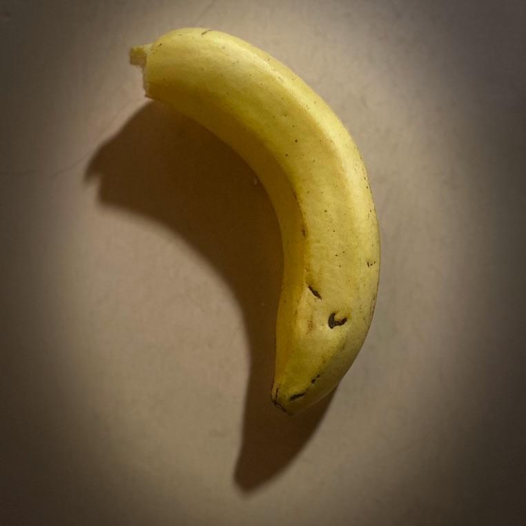 白鸽