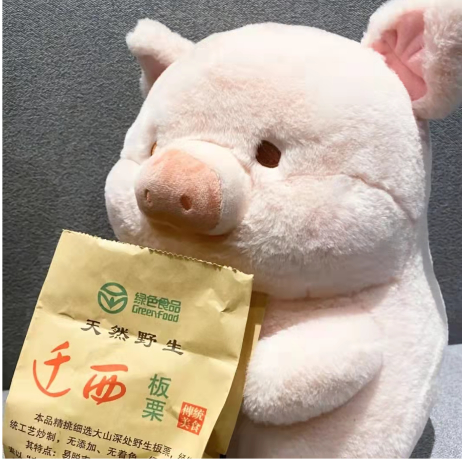 会飞的小朱i