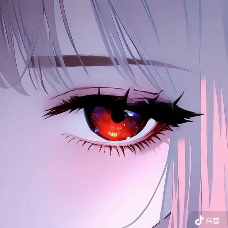 豆狸
