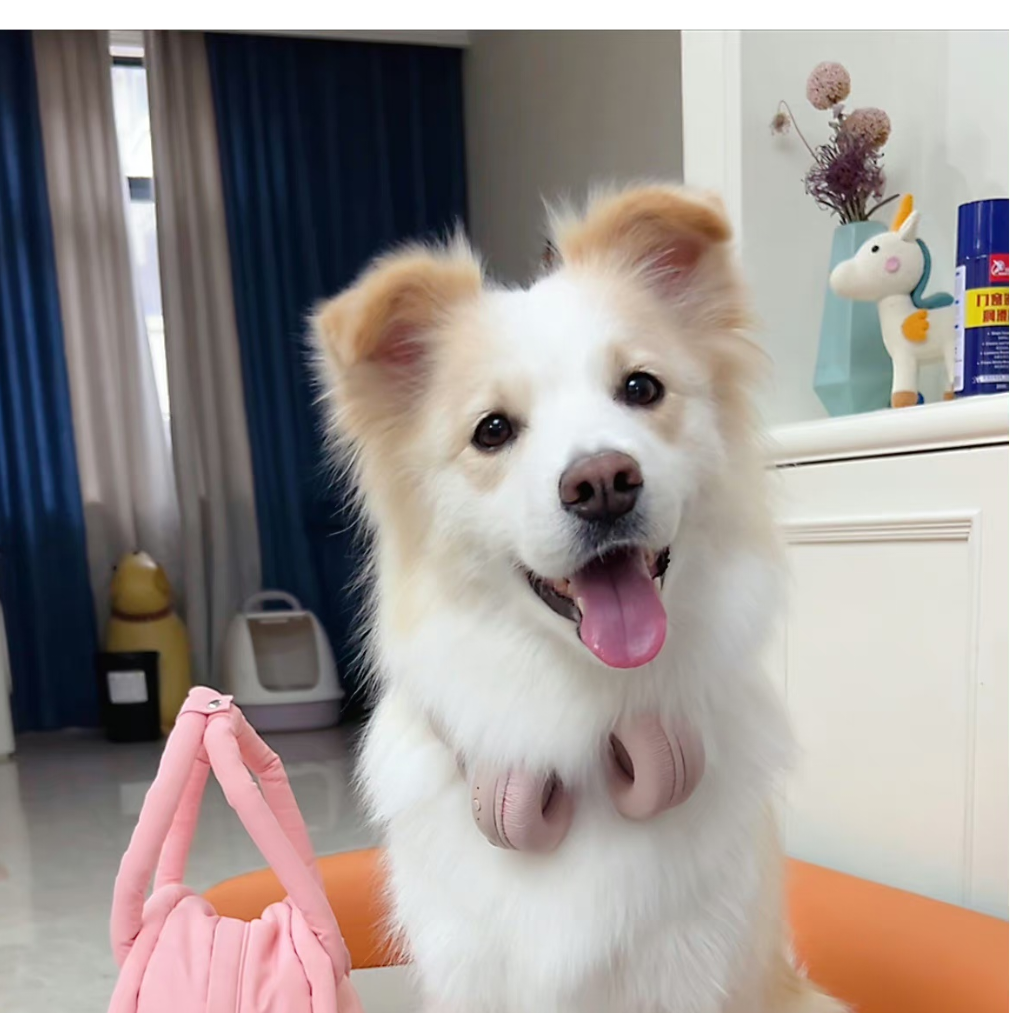 宁吃了吗