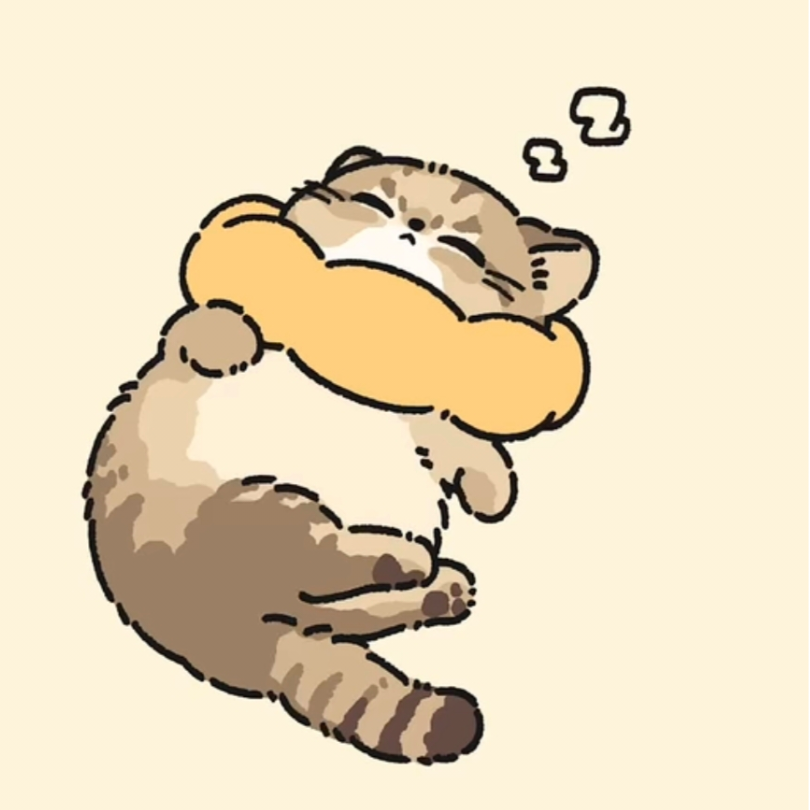 橘猫
