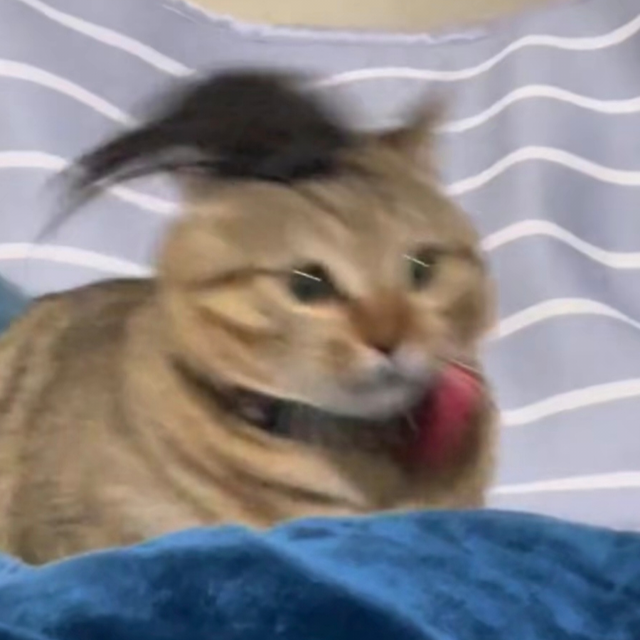 一剑霜寒