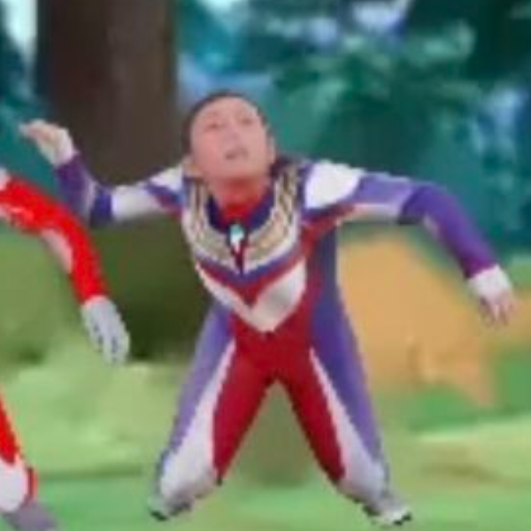 仙人球