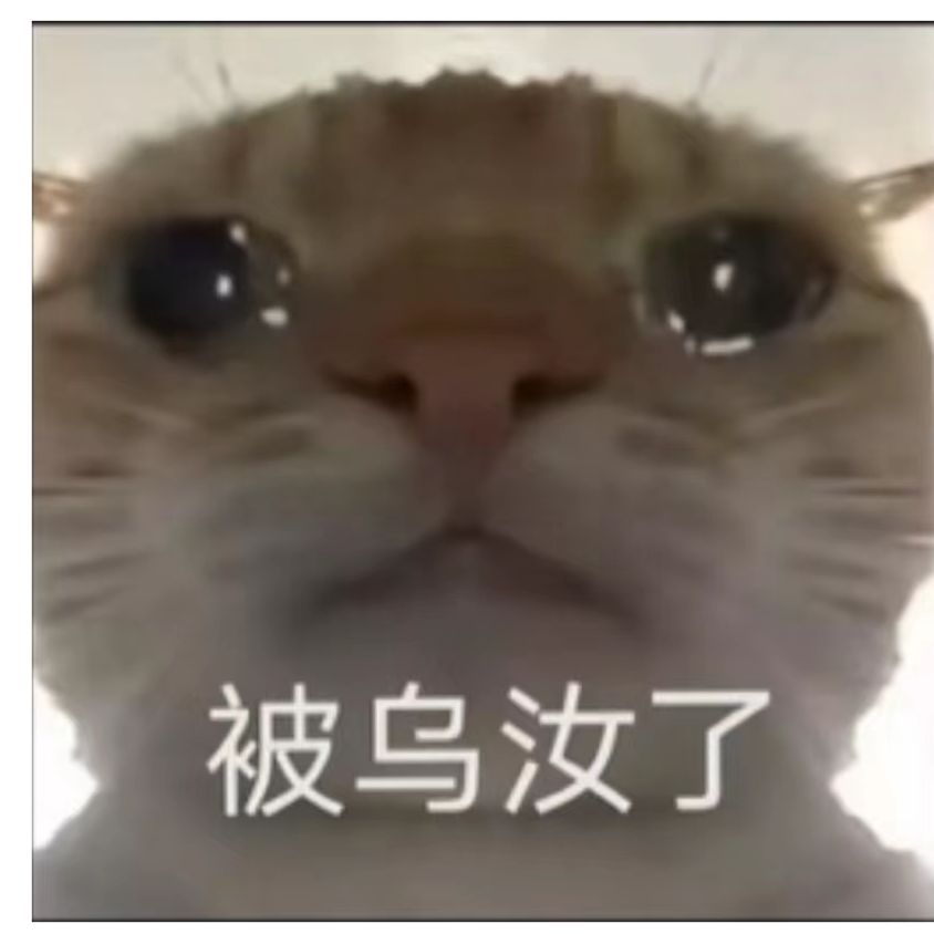 招财猫