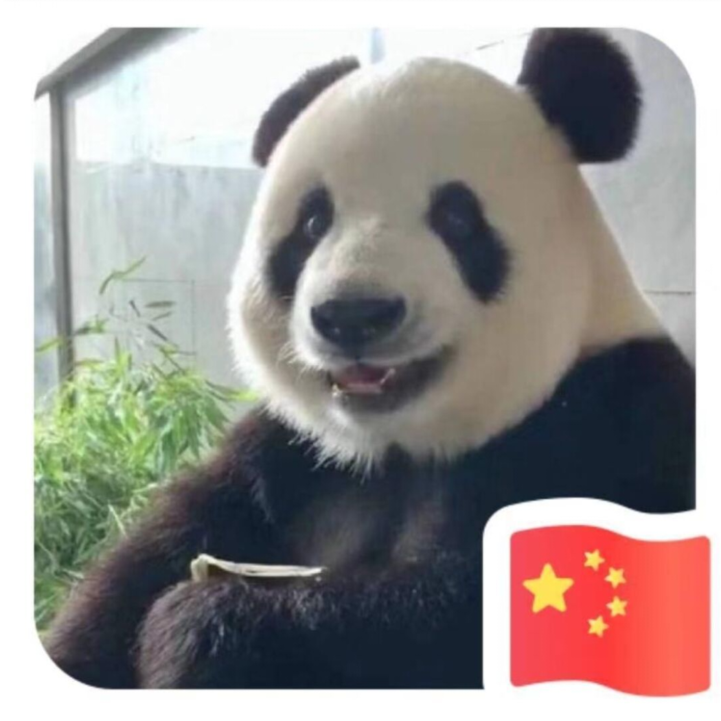 熊猫
