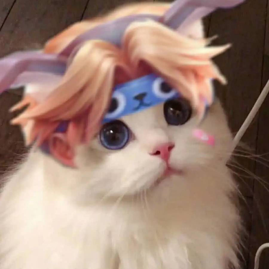 小萌新