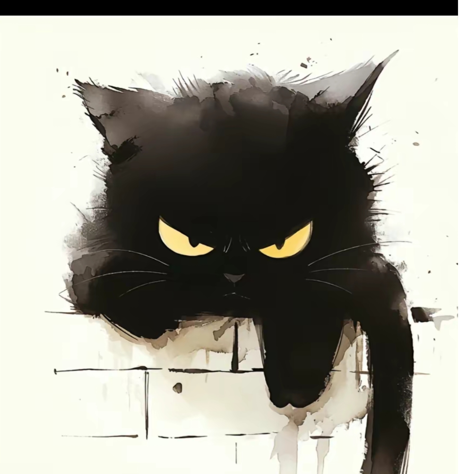 猫腻的夜晚
