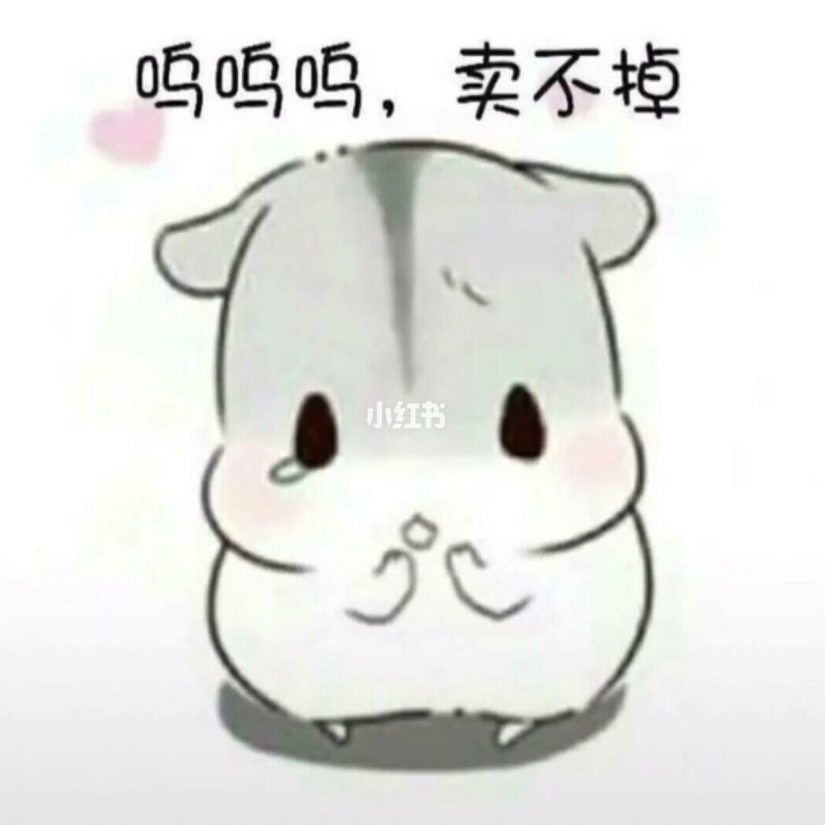 嘻嘻😁