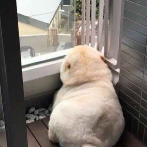 風耽