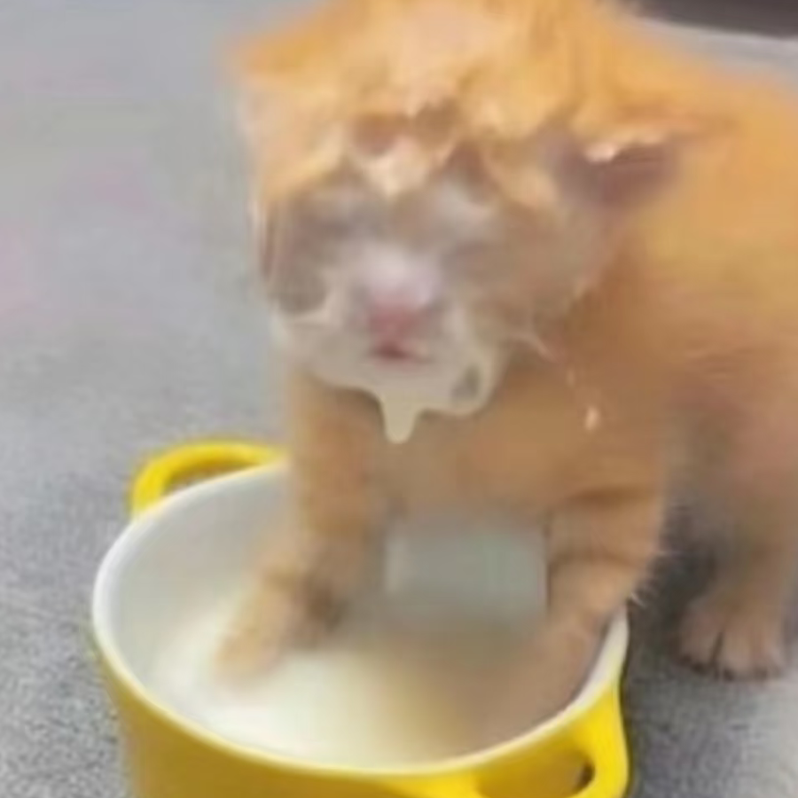 珂珂