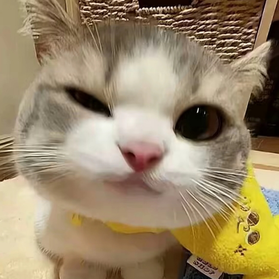 官方