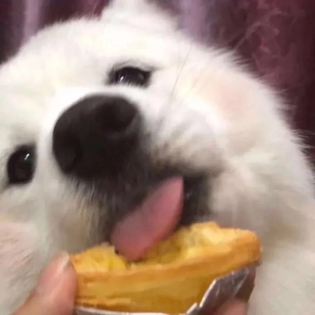 杰瑞