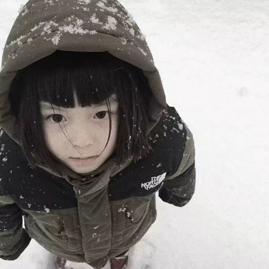 思绪困冬雪.