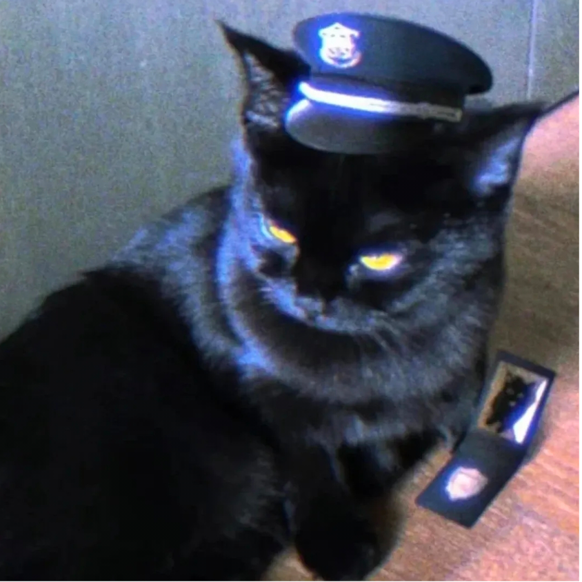 喵呜Meow