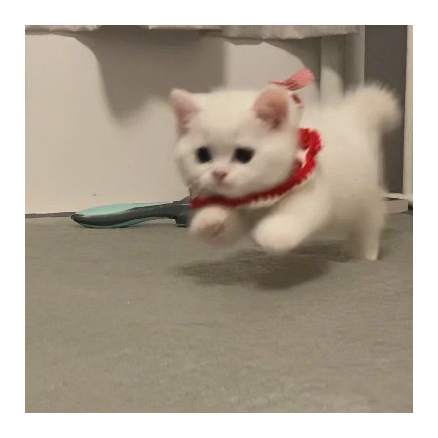 。