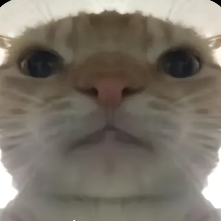 绕后小偷男