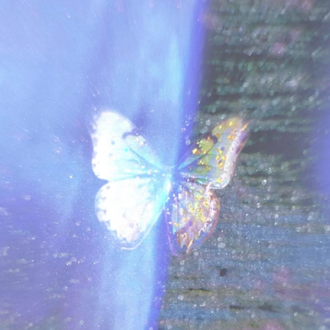 Iris15