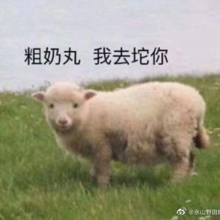 玛卡巴卡