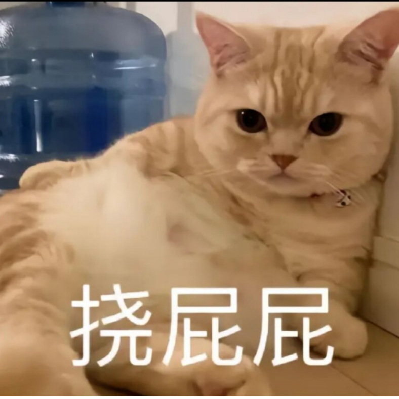老板我不吃葱哦