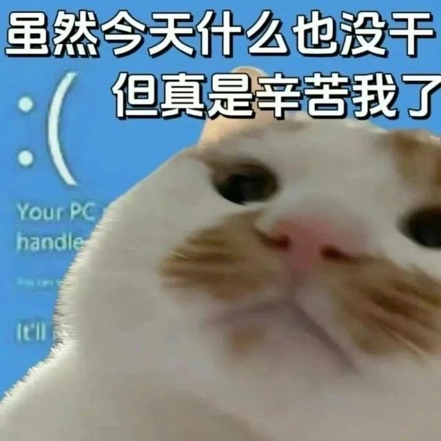 弦