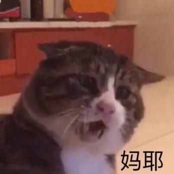 大花狗麻麻
