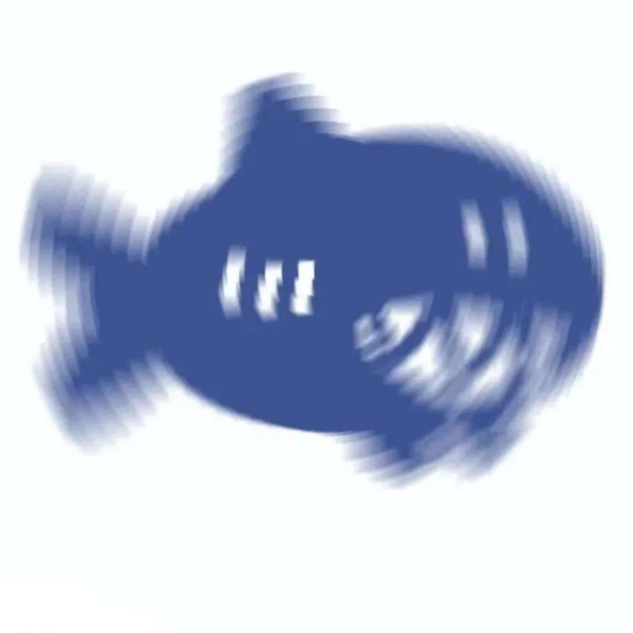 一条鲨鱼