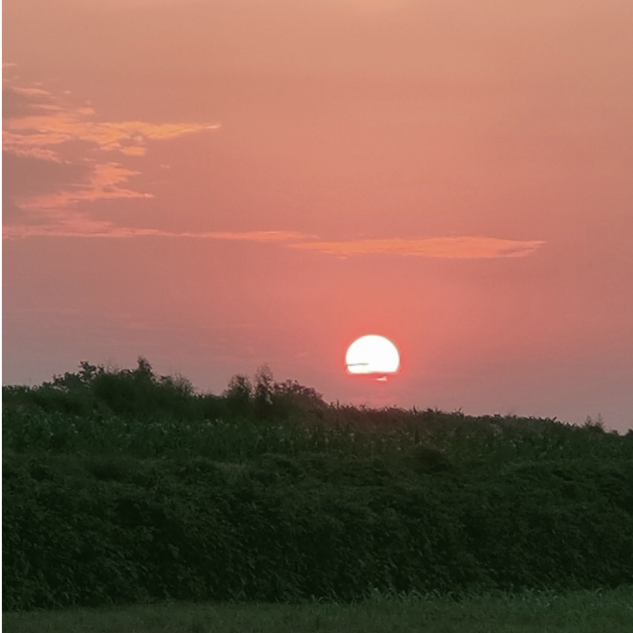 夏晓晓