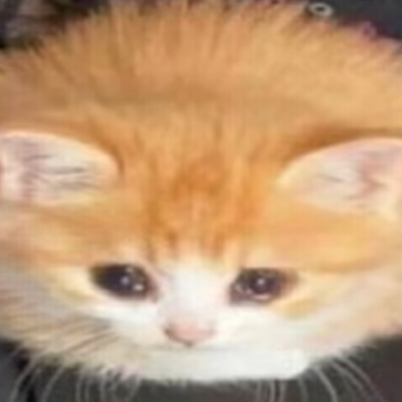 酱油年糕团子啜泣