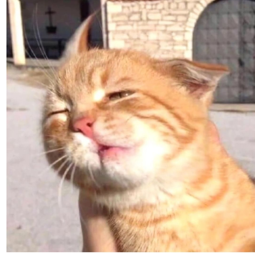 大刀砍猪队队长