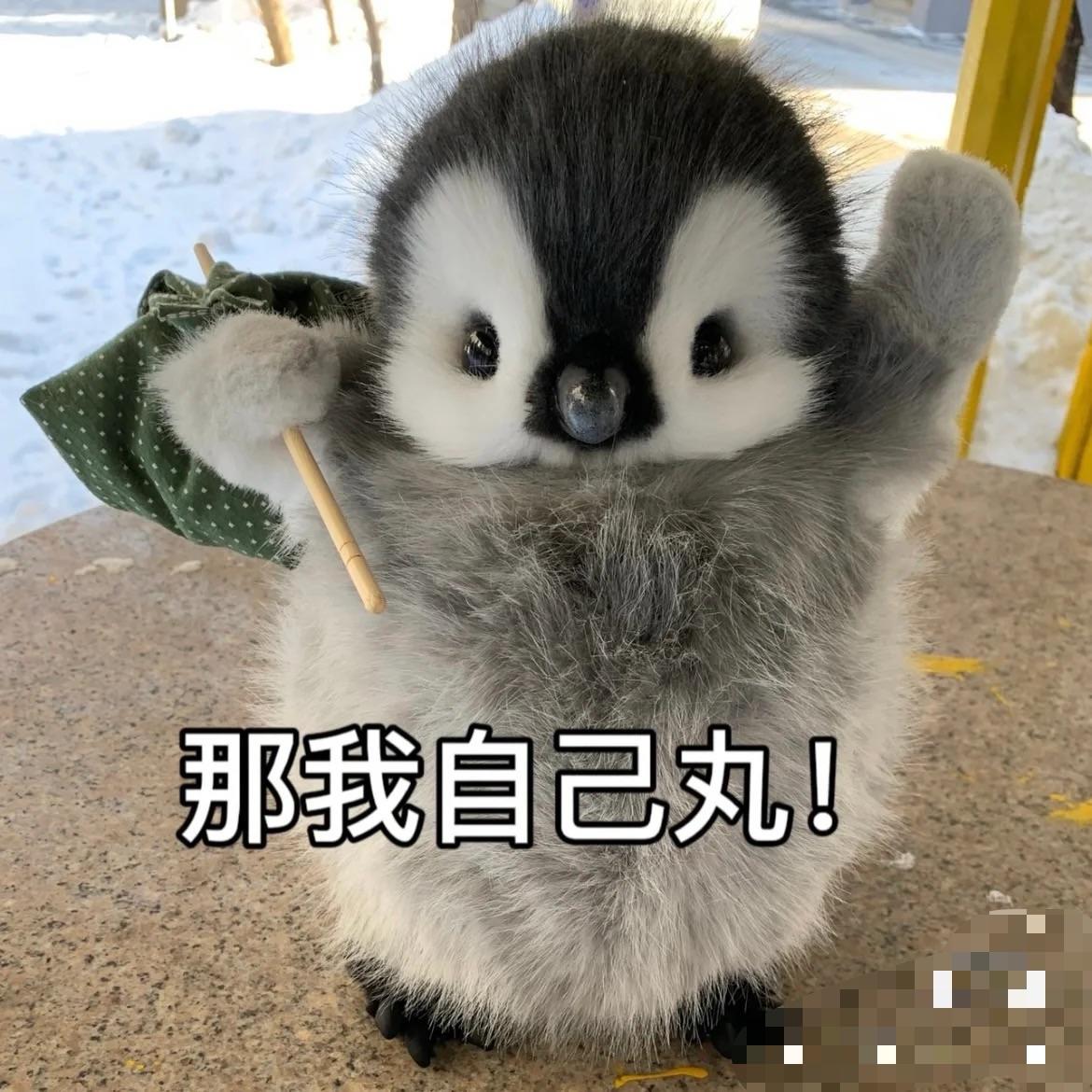 喜欢吃小布丁