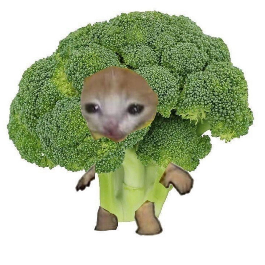 迈迈