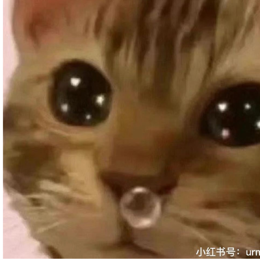 盐渍鲨鱼