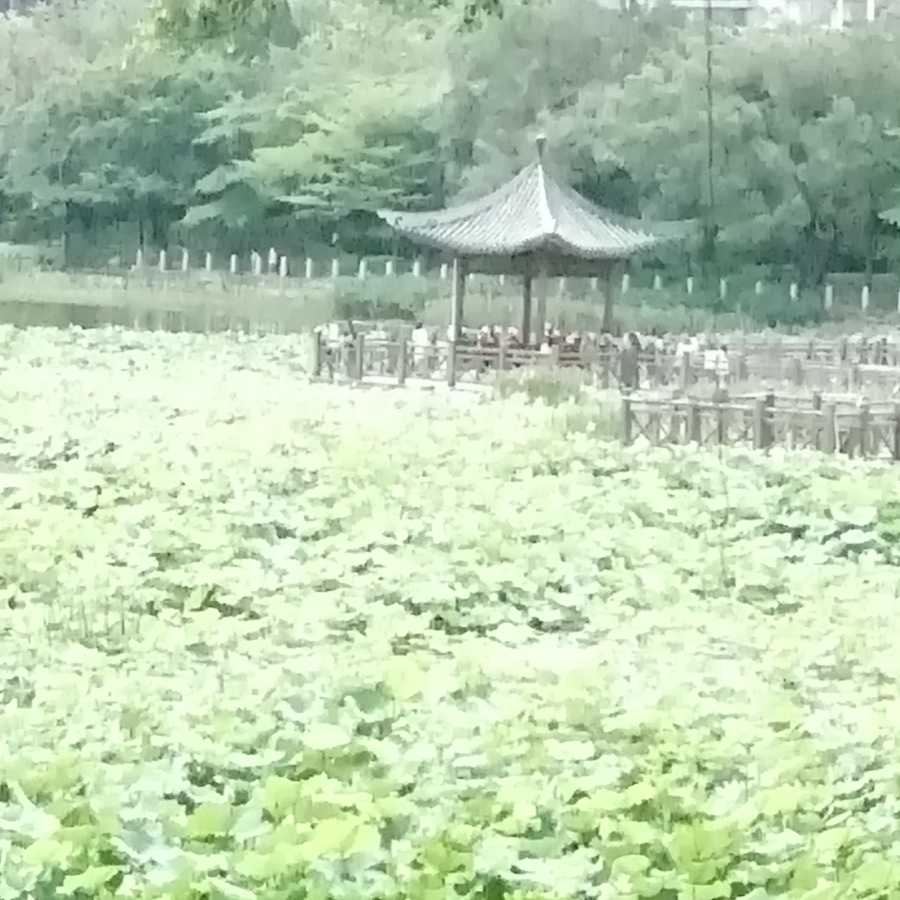 某鬼