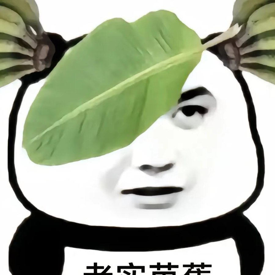 听不懂思密达