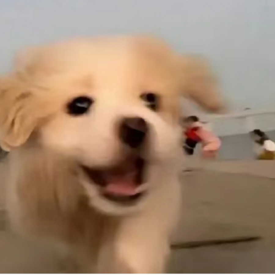 小张