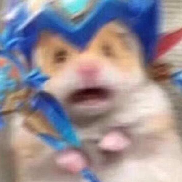 南望