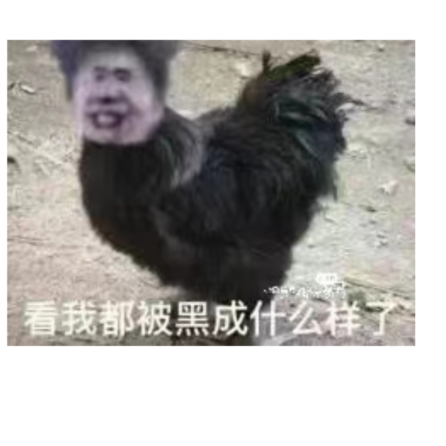 制裁网络小黑子