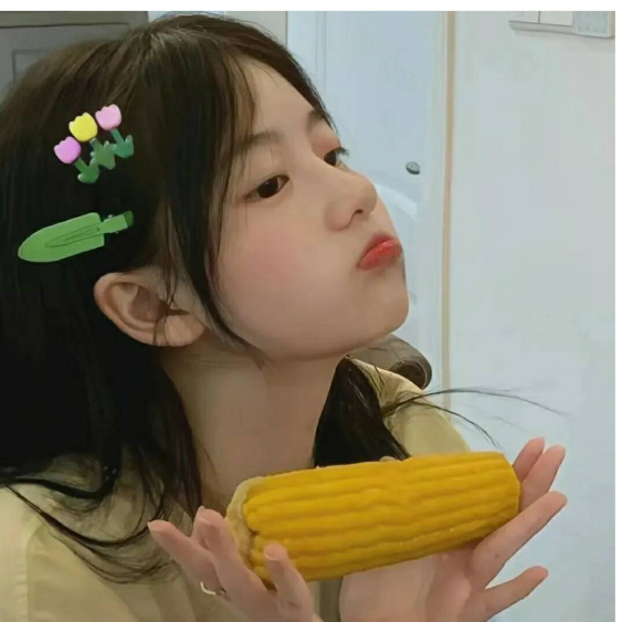 南桉