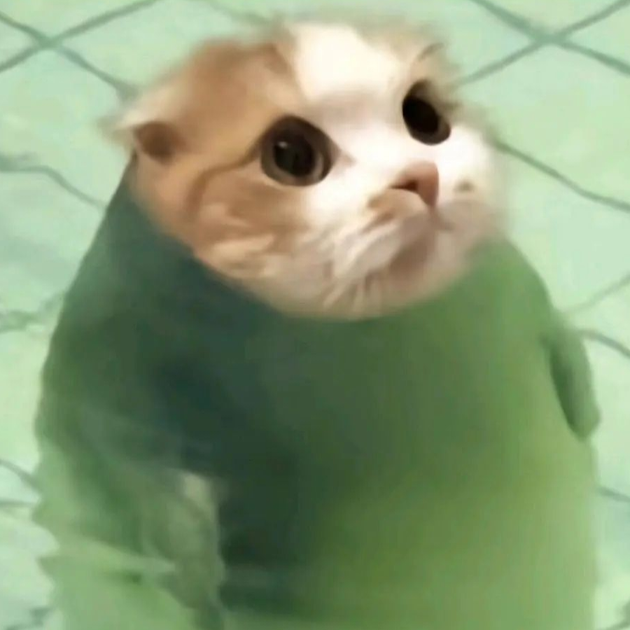 机智勇敢美少年