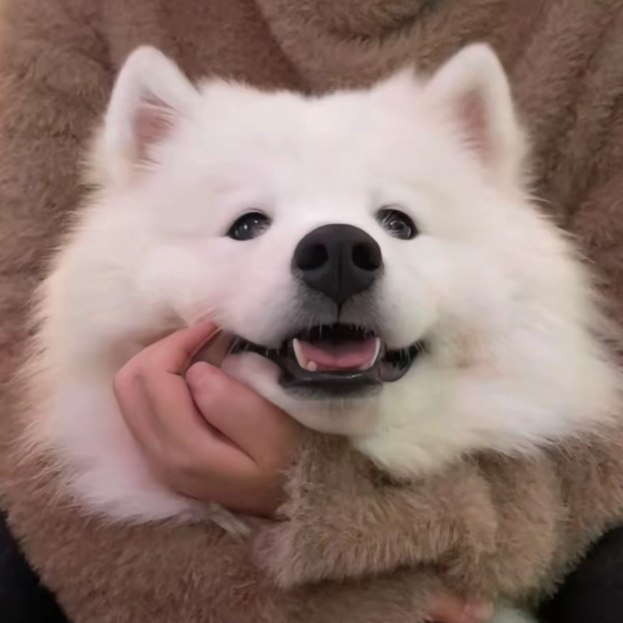 念远