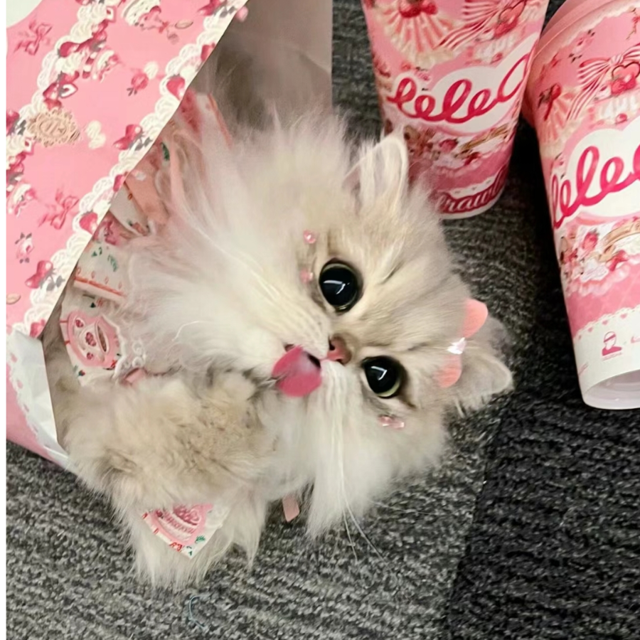 恬悦