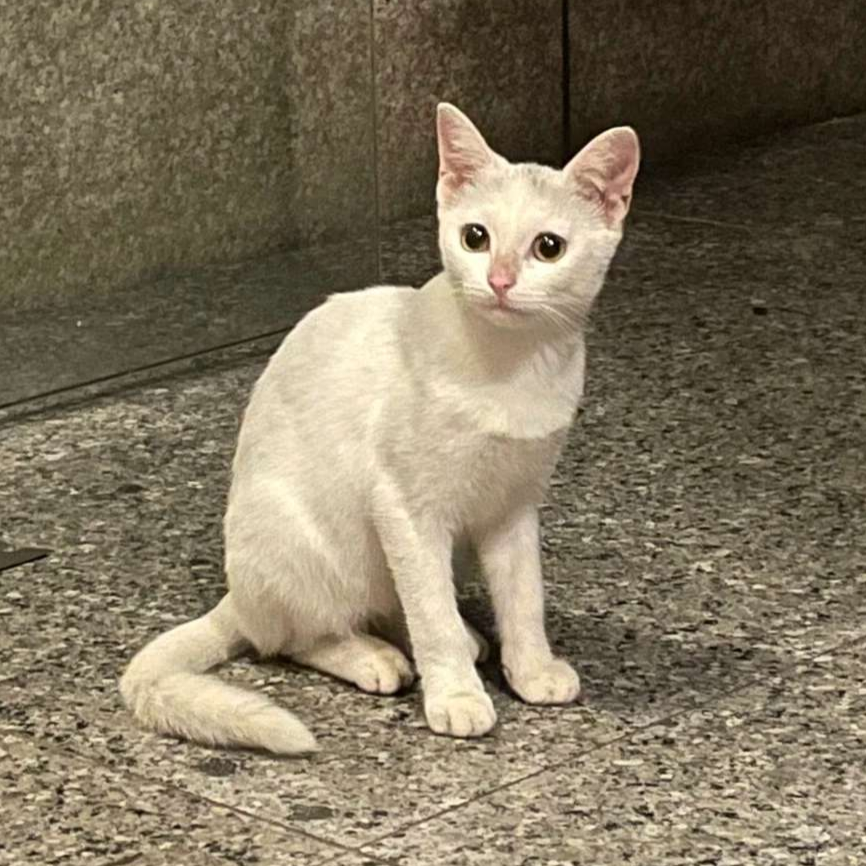 宁宁从小喝到大