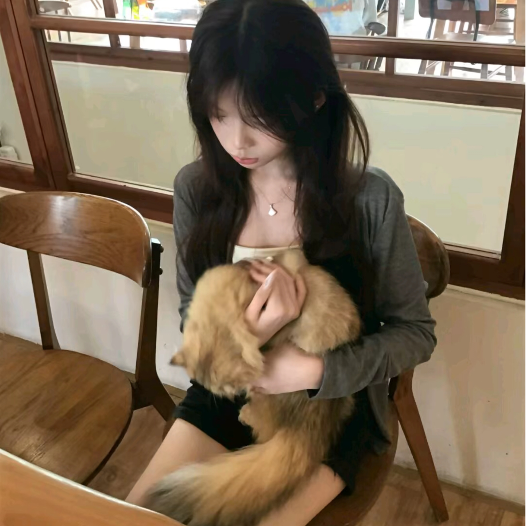 短信💬