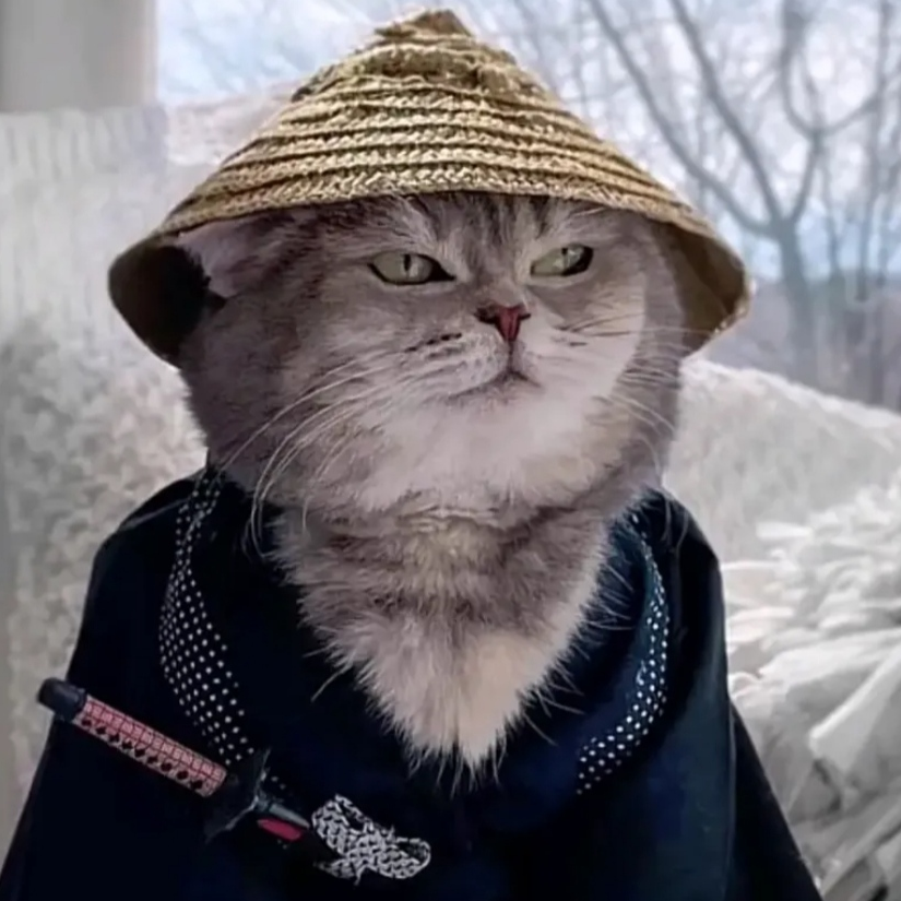 一叶
