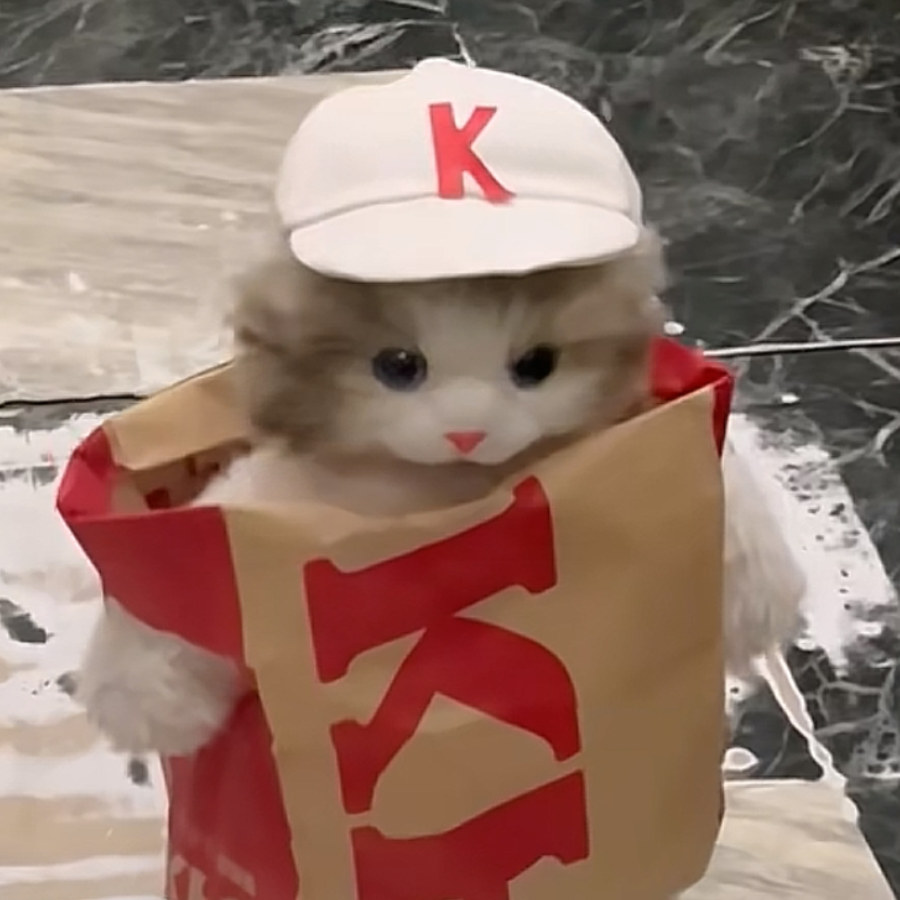 我是大美女